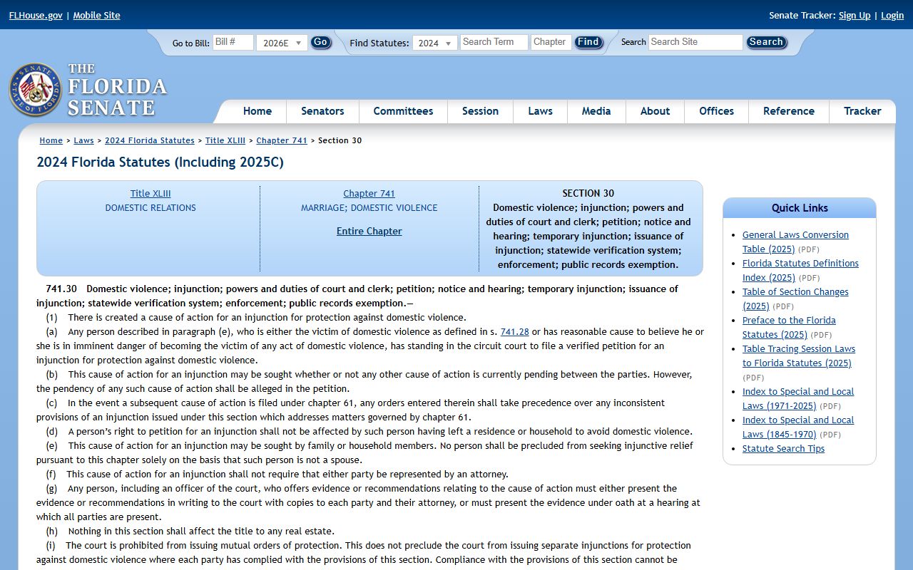 Florida Statutes 741.30 domestic violence injunction page relevant to Pasco County Court