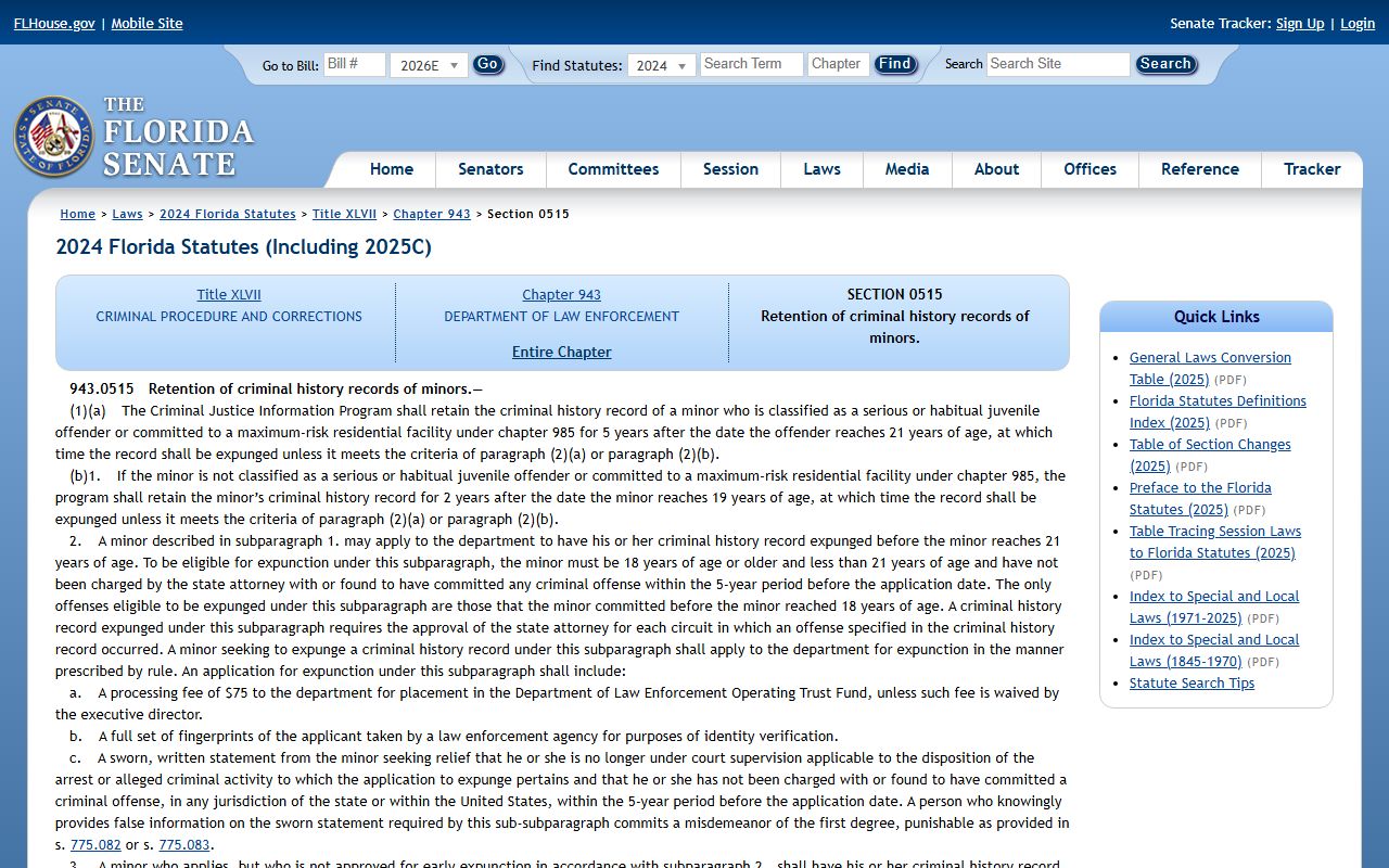Florida Statutes 943.0515 juvenile expunction page tied to Pasco County Court records